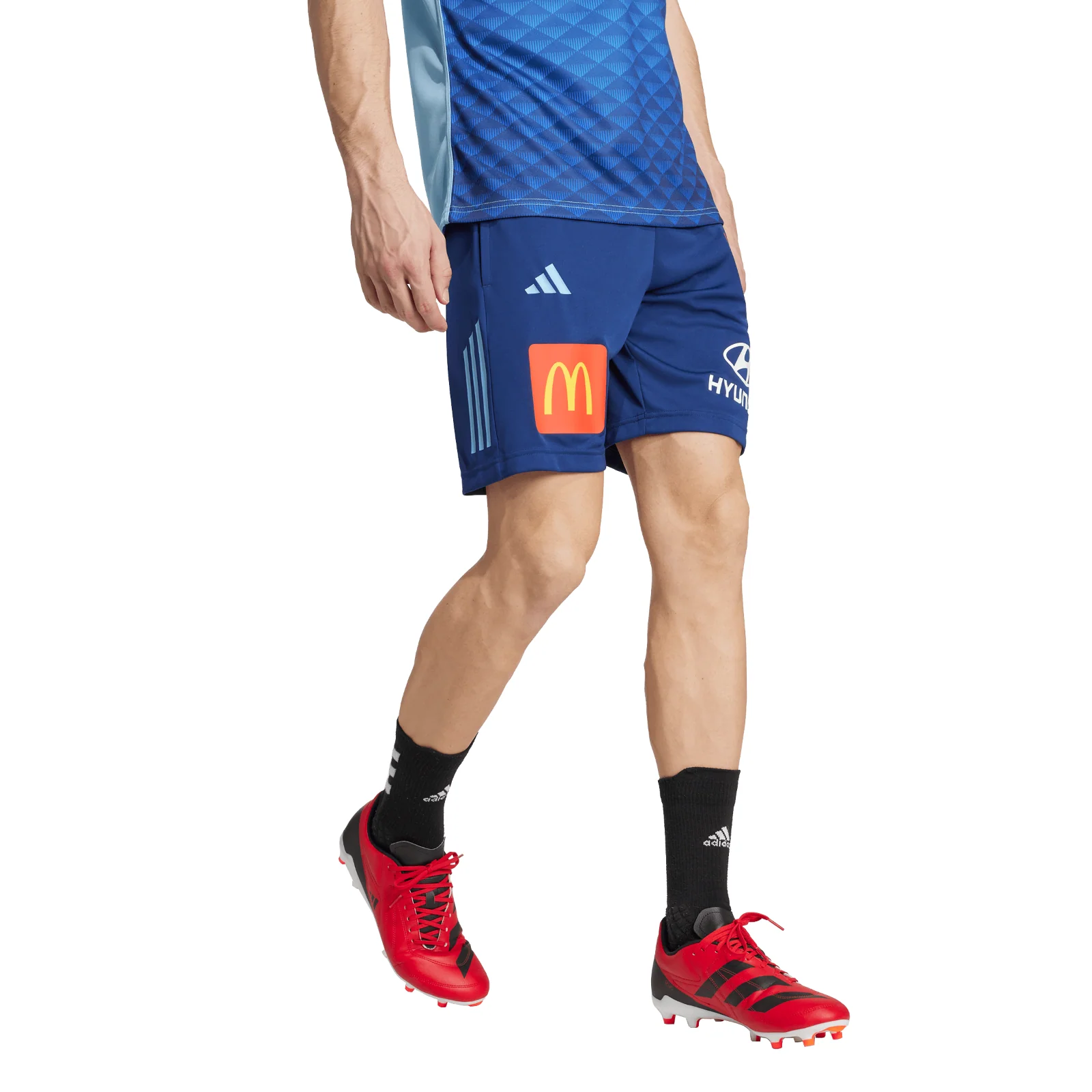 NRL 2026 Training Shorts - New South Wales Blues - Gym - NSW - Adult - Mens - Image 4