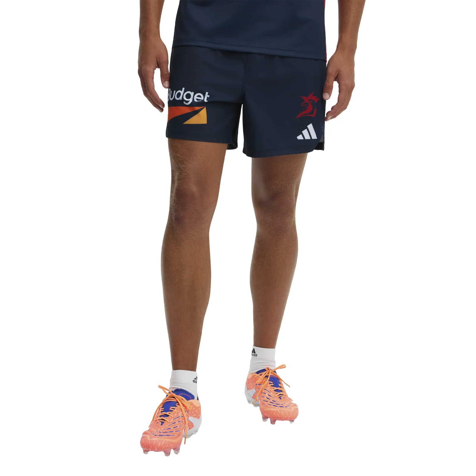 NRL 2026 Training Shorts - Sydney Roosters - Adult - Mens