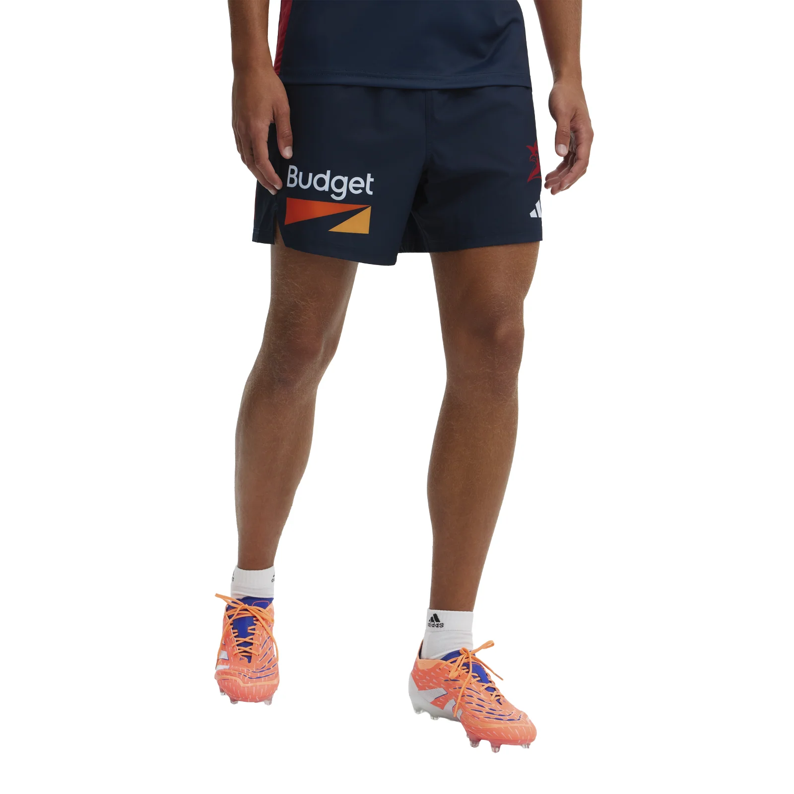 NRL 2026 Training Shorts - Sydney Roosters - Adult - Mens - Image 2