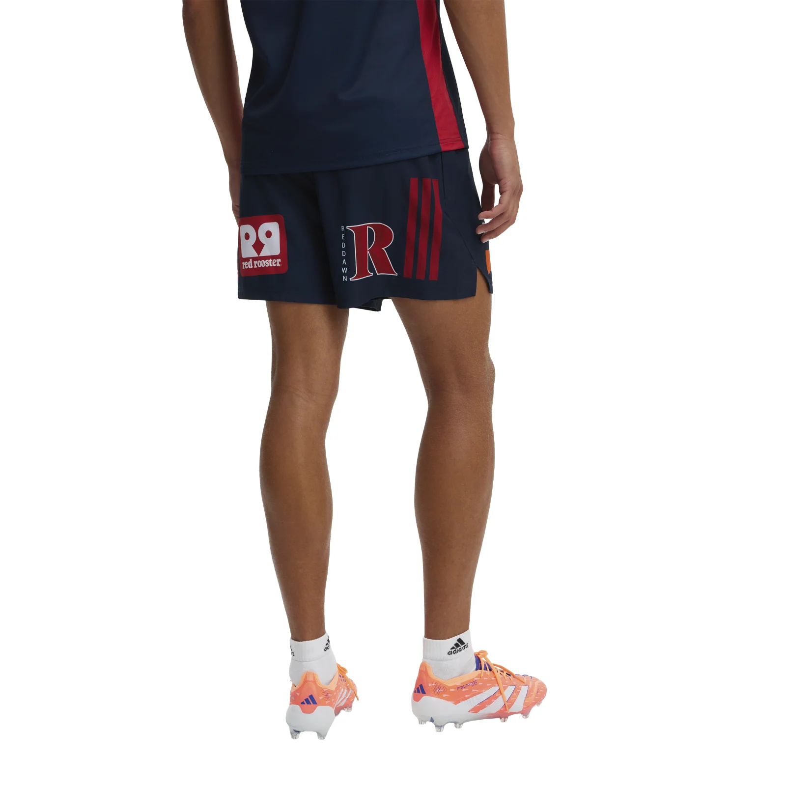 NRL 2026 Training Shorts - Sydney Roosters - Adult - Mens - Image 3