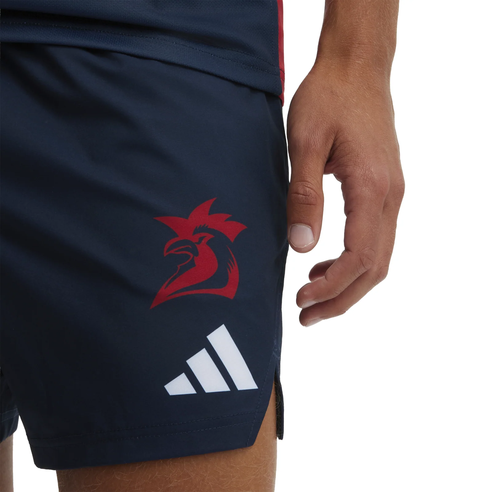NRL 2026 Training Shorts - Sydney Roosters - Adult - Mens - Image 5