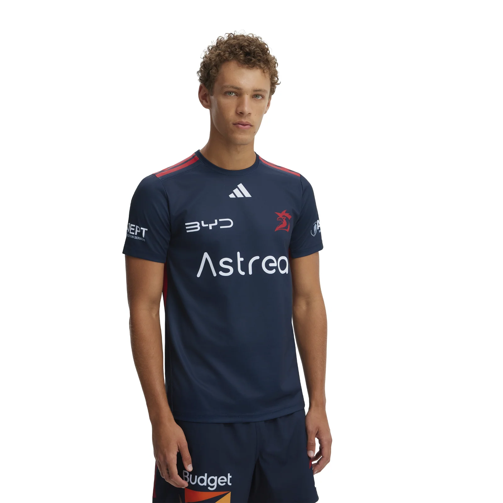 NRL 2026 Training Tee - Sydney Roosters - Adult - Mens - Image 3